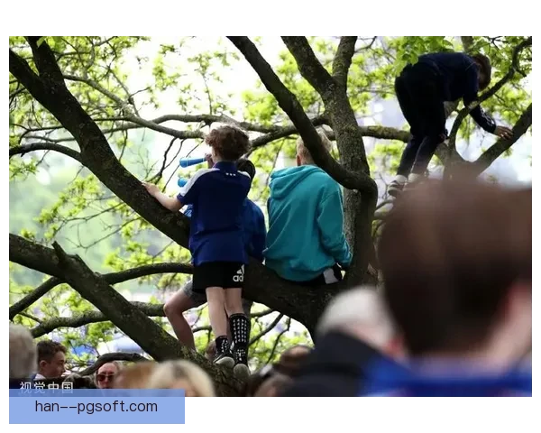 伊普斯维奇重返英超激战引球迷热切关注