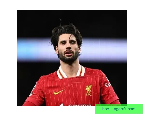 多米尼克索博斯洛伊凭借远射与奔跑能力迅速赢得利物浦球迷喜爱